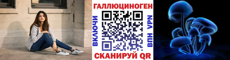 где продают   Барабинск  Псилоцибиновые грибы MAGIC MUSHROOMS 
